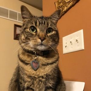 Meet your Posher, Michelle